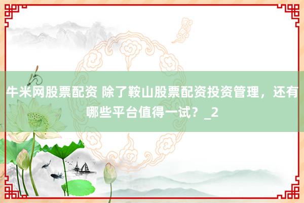 牛米网股票配资 除了鞍山股票配资投资管理，还有哪些平台值得一试？_2
