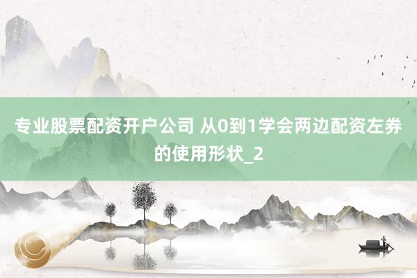 专业股票配资开户公司 从0到1学会两边配资左券的使用形状_2