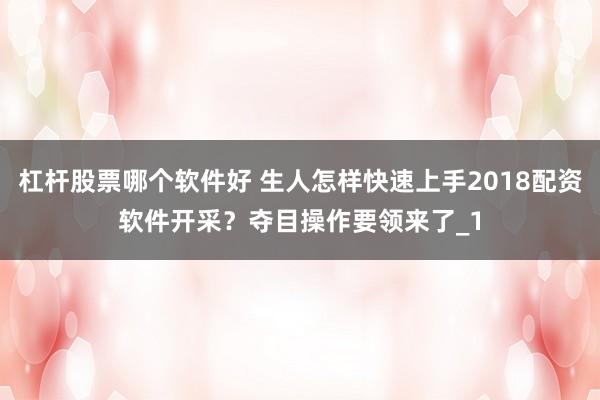 杠杆股票哪个软件好 生人怎样快速上手2018配资软件开采？夺目操作要领来了_1